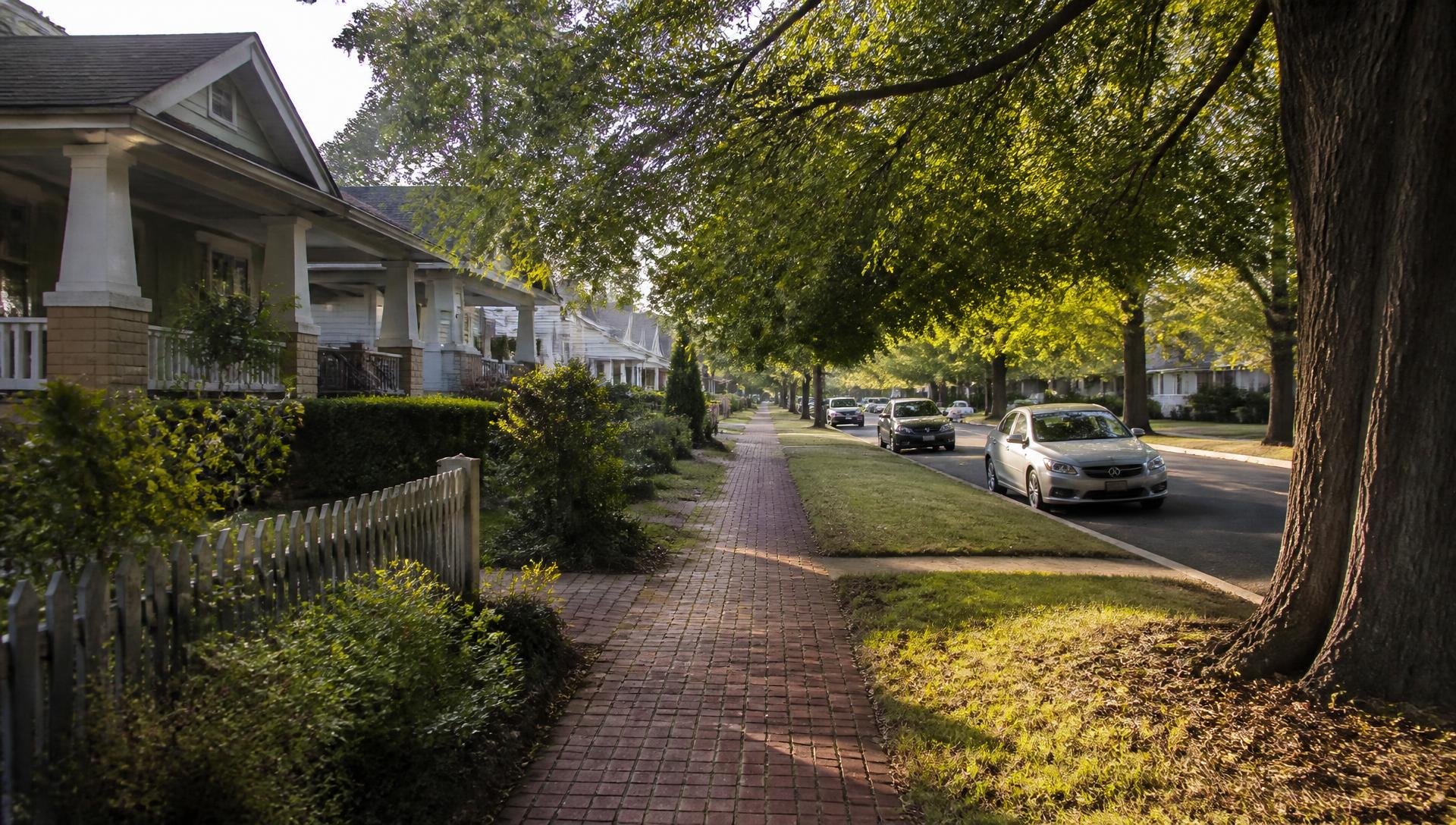 Tree-canopied residential street in Chantilly, Charlotte NC